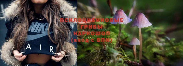 бошки Аркадак