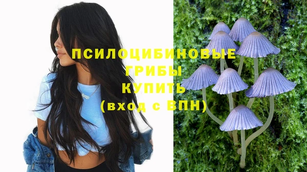круглые Армянск