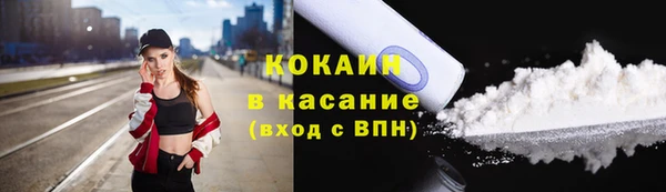 бошки Аркадак