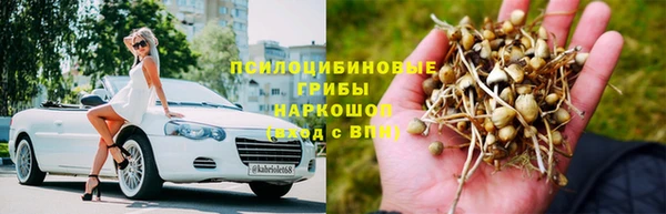 a pvp Алексин
