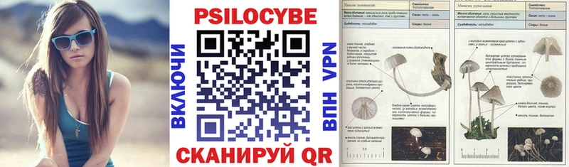 Галлюциногенные грибы мухоморы  магазин  наркотиков  Данков 